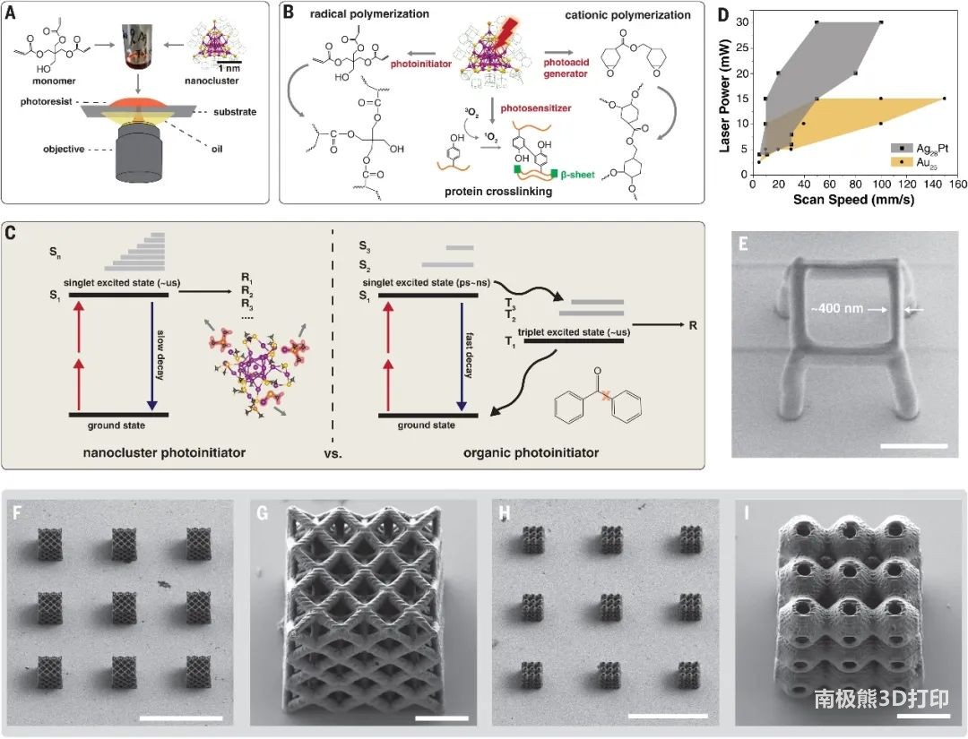 New photoresist, listed on Science! Can be used for 3D printing of unprecedented complex structures!