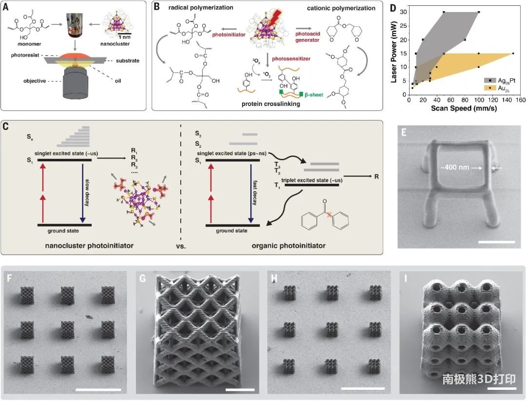新型光刻胶，登上Science！可用于3D打印前所未有的复杂结构！